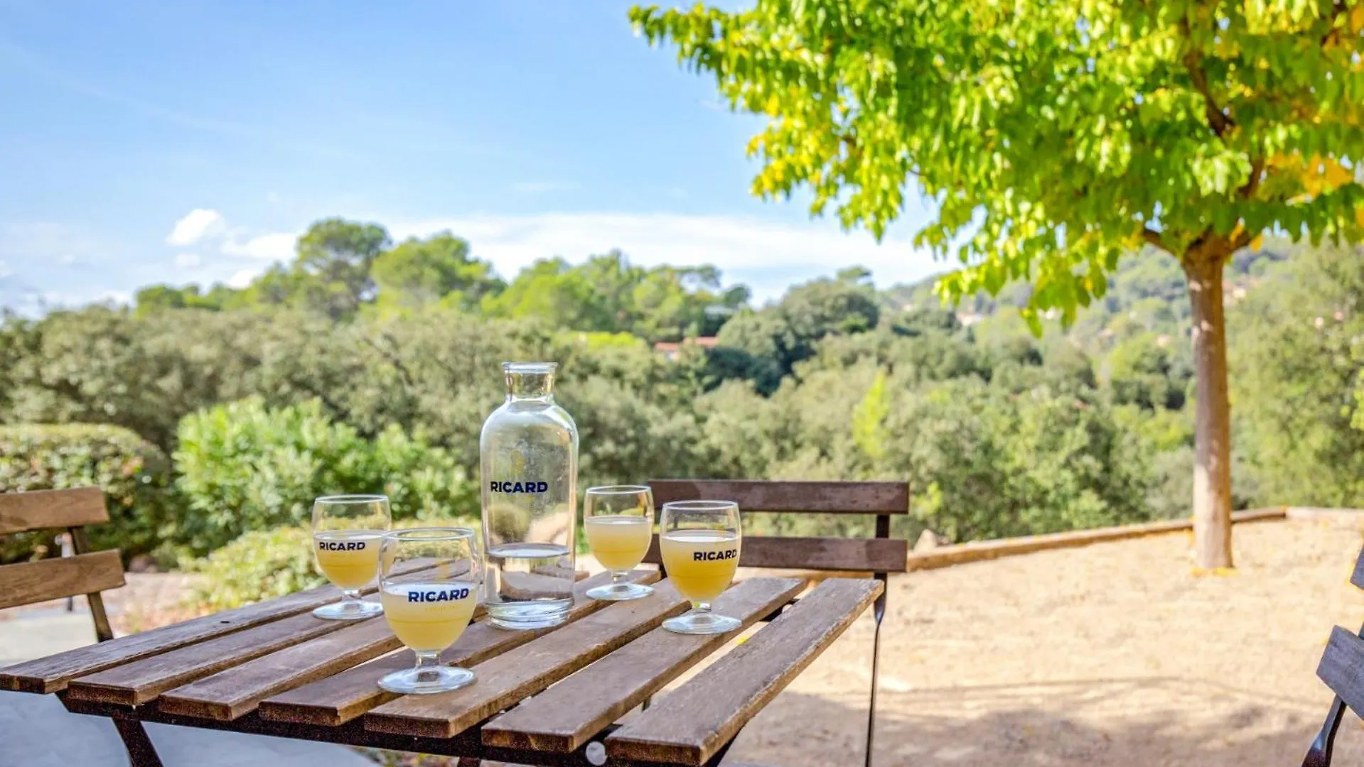 Villa Les Etoiles By Villa Plus Lorgues France